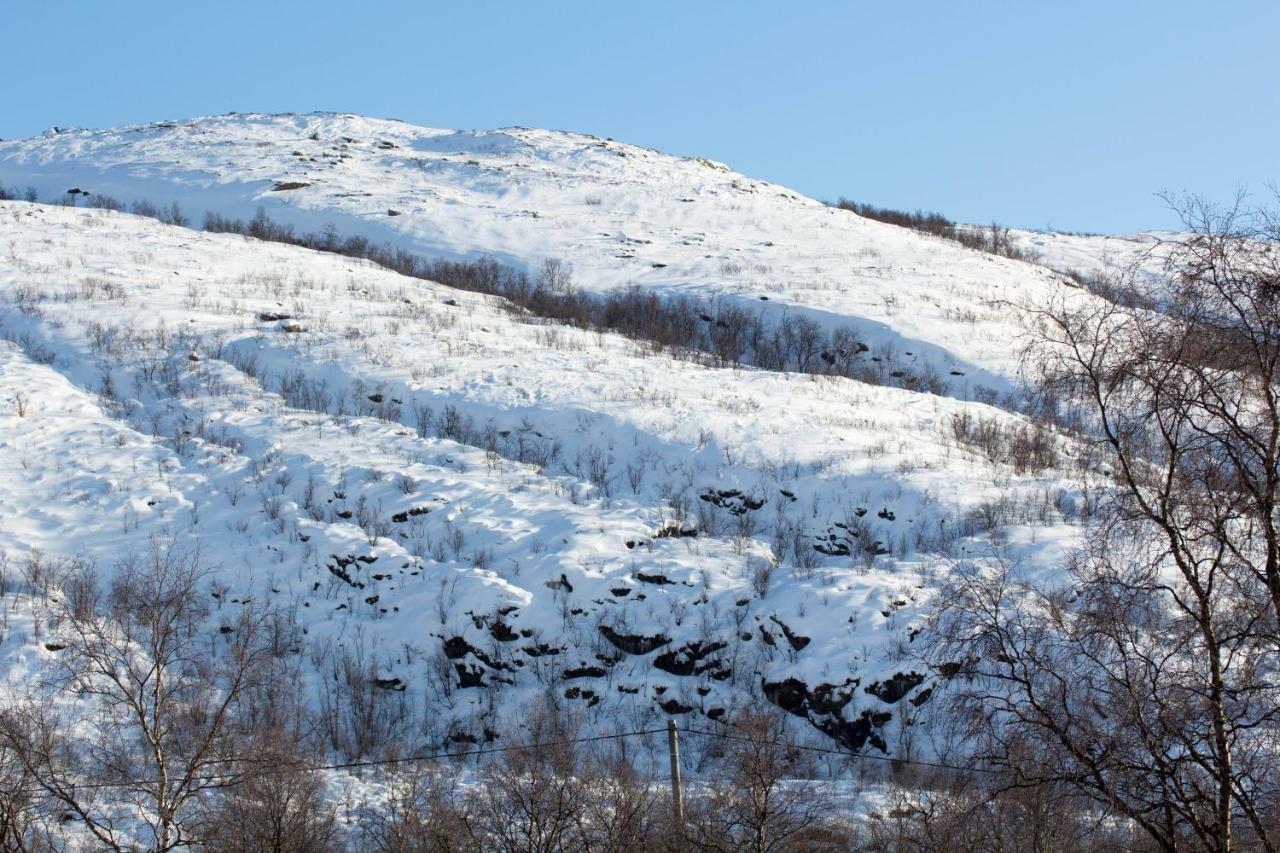Villa Kinos Утсйоки Экстерьер фото